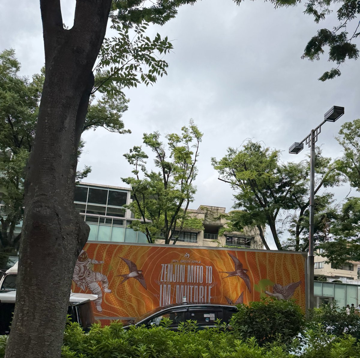 AllDayMGA's tweet photo. 初めて見つけた嬉しい https://t.co/YJNr83ncmY
