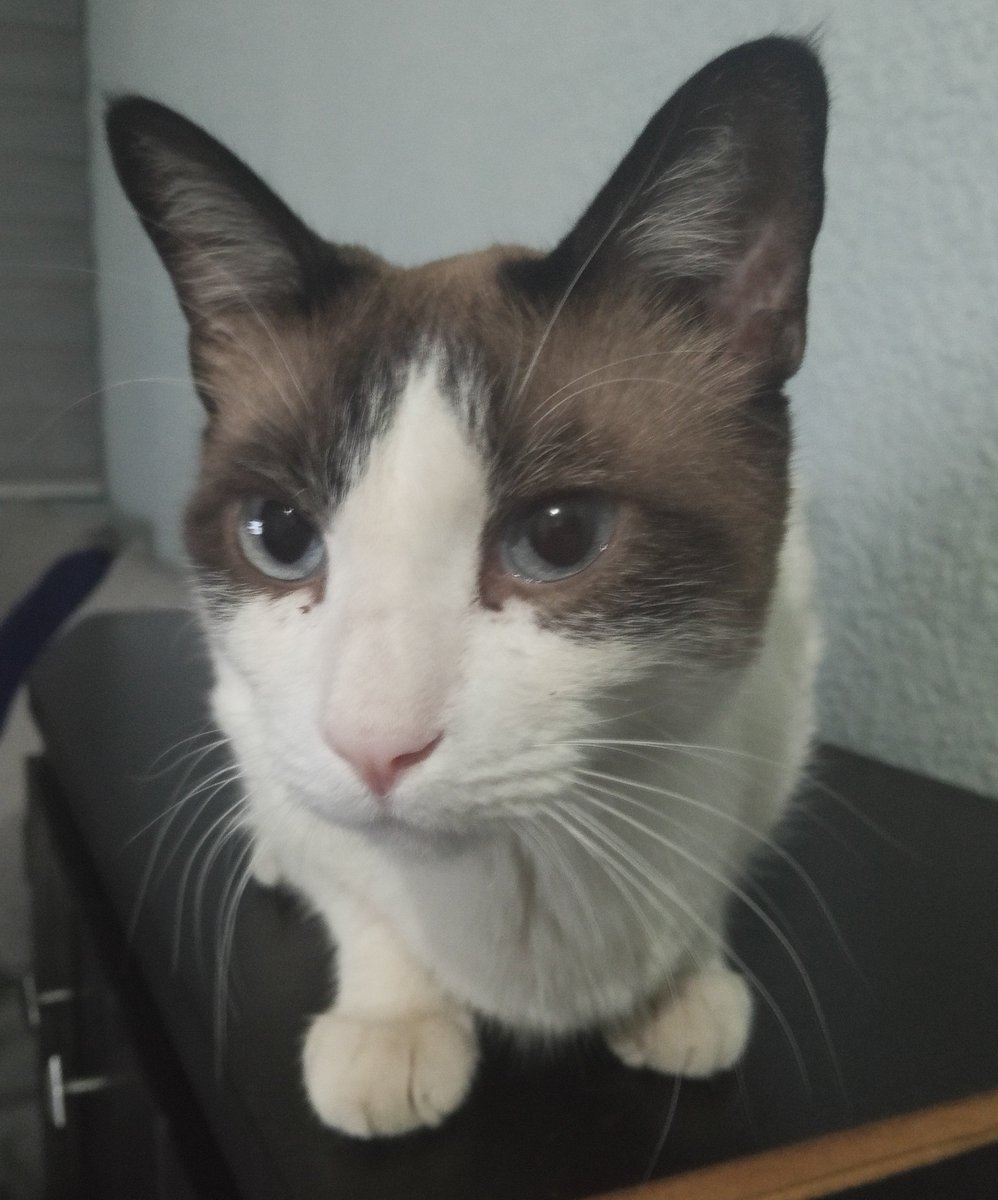 luvvmare tweet picture