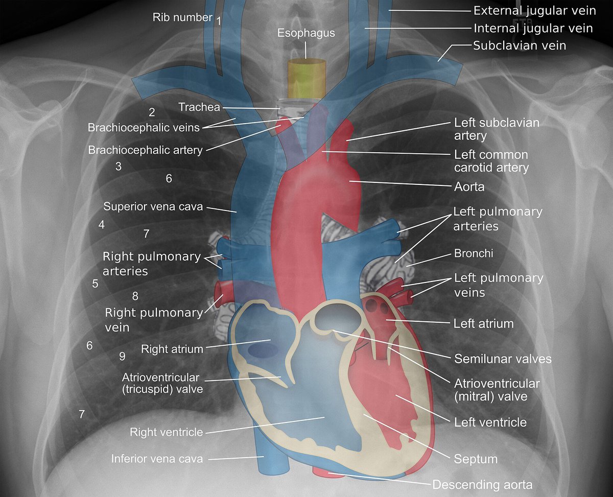 TrackYourHeart tweet picture