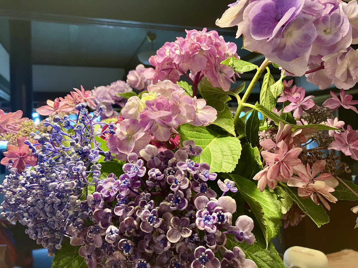 kinosatoshi's tweet photo. 今日も仕事で外は雨も降ってきたけど、
花とお茶とコーヒーがあると気分は悪くない https://t.co/e4TxbyNJlH