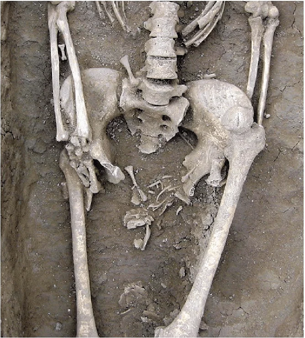 PGonz8's tweet photo. Bueno, el buen señor me ha pedido que argumente por qué el parto es algo peligroso en humanos, porque no sabía que las mujeres han muerto como moscas por ello a lo largo de la historia. Así que vamos a complacerle y hacer un pequeño hilo sobre ello https://t.co/fxbMrr9yzR