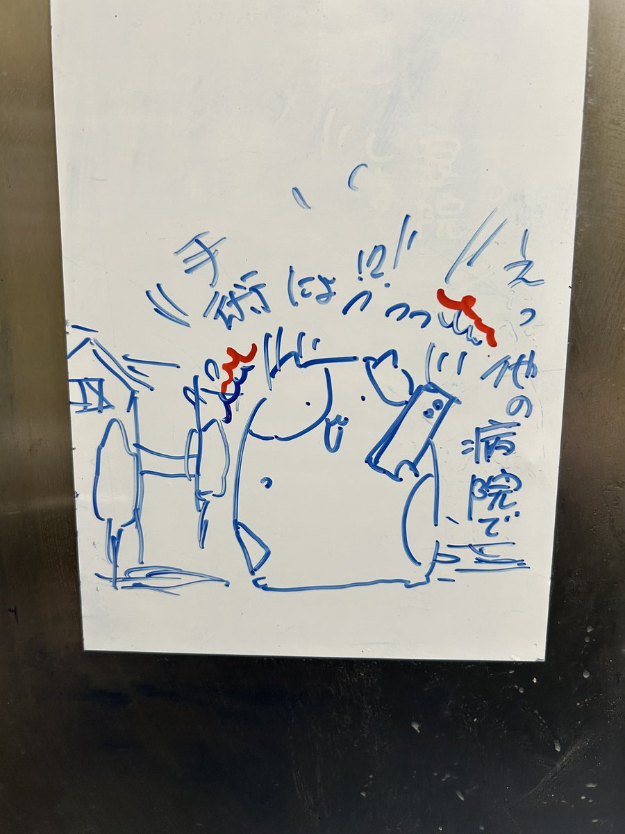 WtcLife12's tweet photo. 今日の #にょちお　　退院しました。 https://t.co/XXCMK7eOHz