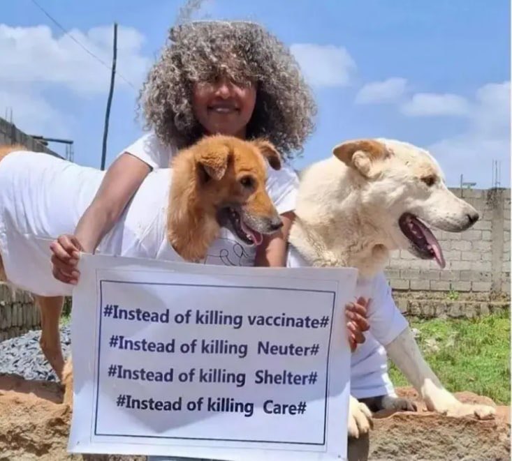 addisstandard's tweet photo. Residents in central #Ethiopian town of #Hossana forced to kill hundreds of their own dogs after rabies outbreak
Residents in the central Ethiopian town of Hossana have reportedly been forced to kill hundreds of their own dogs following a rabies outbreak that left three children dead and dozens of people hospitalized, according to a BBC report.
The news outlet reports that community associations linked to local administrative structures issued orders instructing residents to kill their dogs or face fines of up to 50,000 birr and possible arrest, even if the animals had been vaccinated. Eyewitnesses said that some owners hanged or beat their dogs, while others handed them over for killing.
Local officials said the measures followed a series of rabies-related deaths, with Mayor Samuel Shigute stating that the outbreak had killed three children and resulted in the hospitalization of around 80 others. He added that roughly 70% of the town’s estimated 10,000 dogs had received rabies vaccinations.
Veterinary experts and animal welfare advocates have condemned the mass killings. Dr. Alazar Ayele, a veterinarian cited by the BBC, said he was “deeply saddened” by the incident, estimating that between 400 and 450 dogs were killed within days.
“People dragged dogs out and killed them in shocking ways. This is immoral and unacceptable in religion, culture, and law. Videos show owners crying as their dogs were killed,” Dr. Alazar said.
Animal welfare campaigner Feven Melese, who runs a shelter and advocacy work in Addis Abeba, also told the BBC that although the killings had reportedly stopped, pressure on owners was continuing in some areas.
“Individuals were still going door to door asking people to get rid of unvaccinated dogs,” she said, warning that the campaign risked escalating beyond official oversight.
Feven’s organization has been among those calling for a shift away from mass culling toward coordinated vaccination, sterilization and humane population control strategies.
Local authorities have since described the killings as illegal and not formally ordered by the administration, with Mayor Shigute saying police had been instructed to investigate the incident, according to the report.
Animal welfare groups say the episode highlights the absence of systematic rabies control and humane animal management policies in parts of the country, where vaccination and neutering programs remain limited.