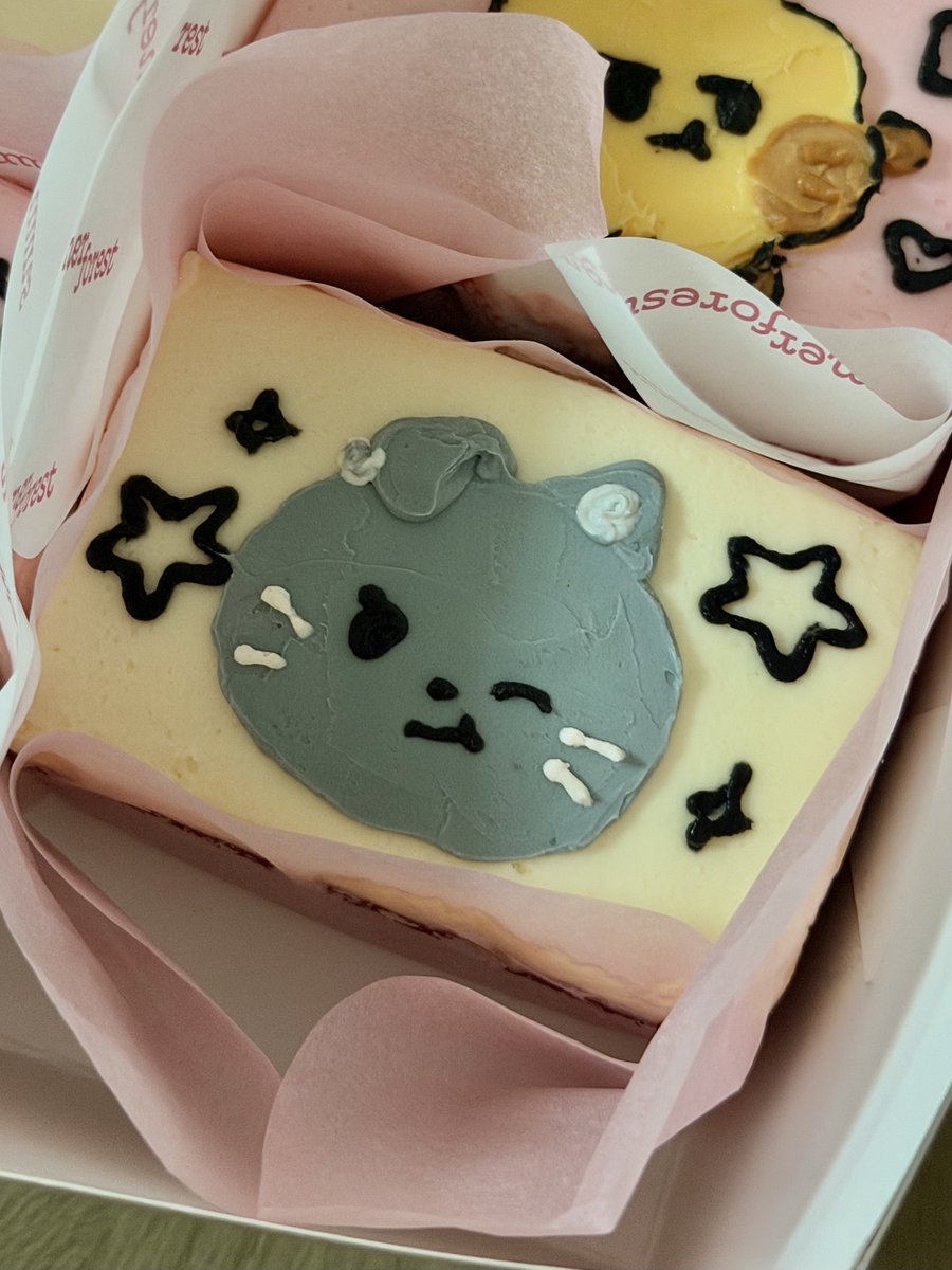 _chocojay's tweet photo. 🐈‍⬛⭐️🤍 https://t.co/jadsEddqdI