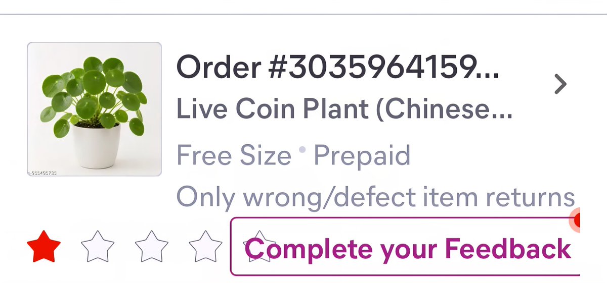mahuashyam's tweet photo. @Meesho_Official Ordered a Chinese Money Plant on @Meesho but received Indian Pennywort. Shared clear proof, yet my exchange was rejected with a generic response. Is this how genuine customers are treated, @viditaatrey? Please review this case. https://t.co/xyatdPF4qj