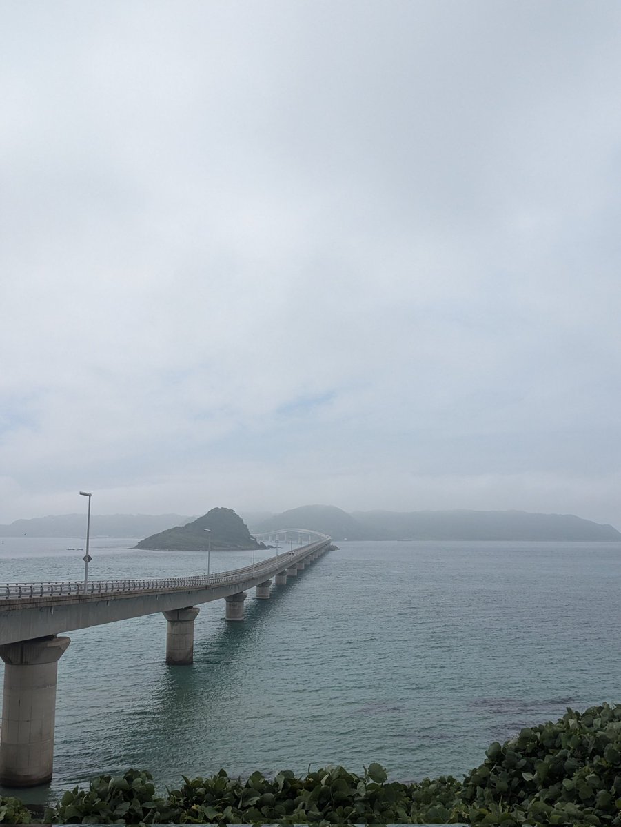 TableSaltPP's tweet photo. 雨が逆に幻想的で良き https://t.co/dMXEr5aAjo