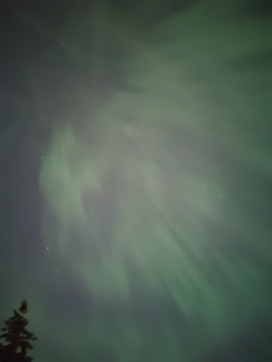 kumos123's tweet photo. ✨見て！家の前にオーロラ✨12:00am 
#canada
#aurora https://t.co/bjNI0b5RlG