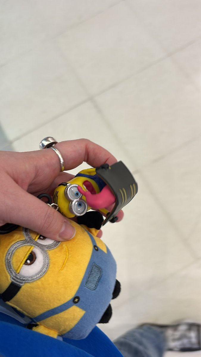 webheadpedro's tweet photo. got not one but two new minion guys today https://t.co/9O4Sn0kT2d