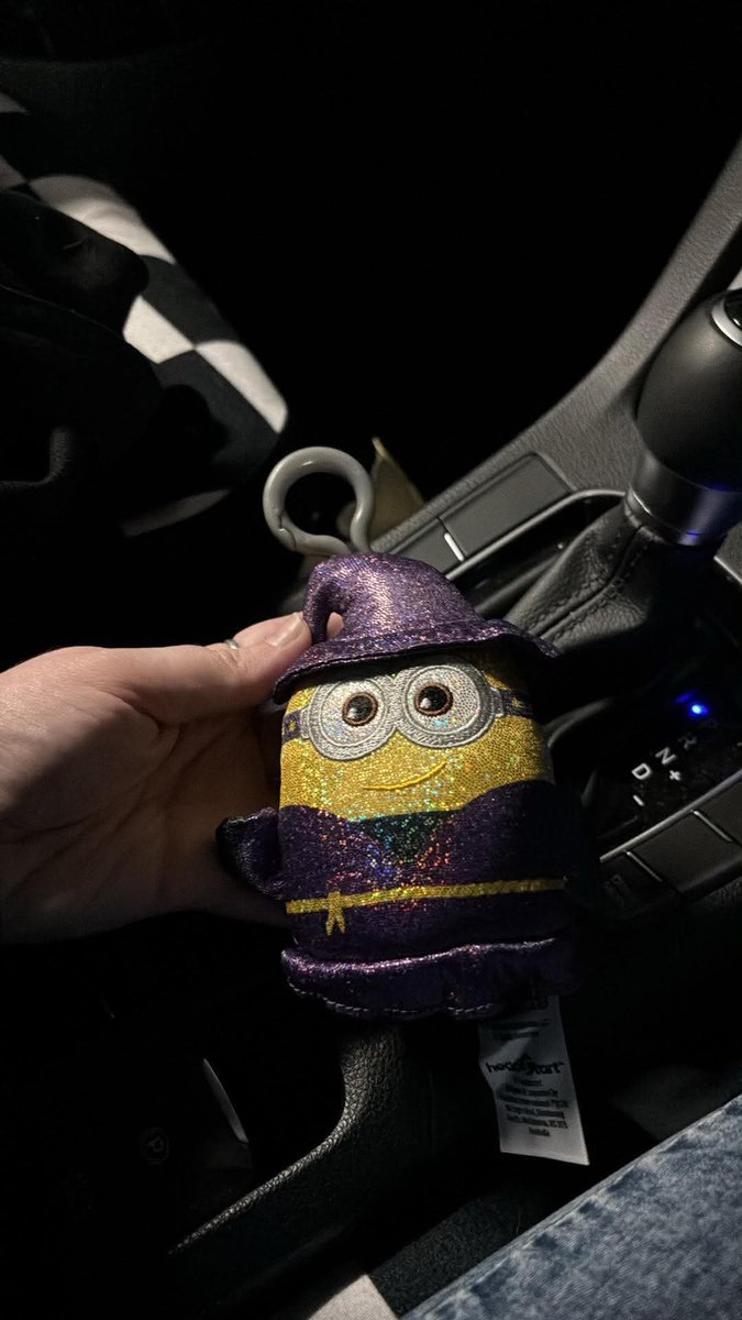 webheadpedro's tweet photo. got not one but two new minion guys today https://t.co/9O4Sn0kT2d