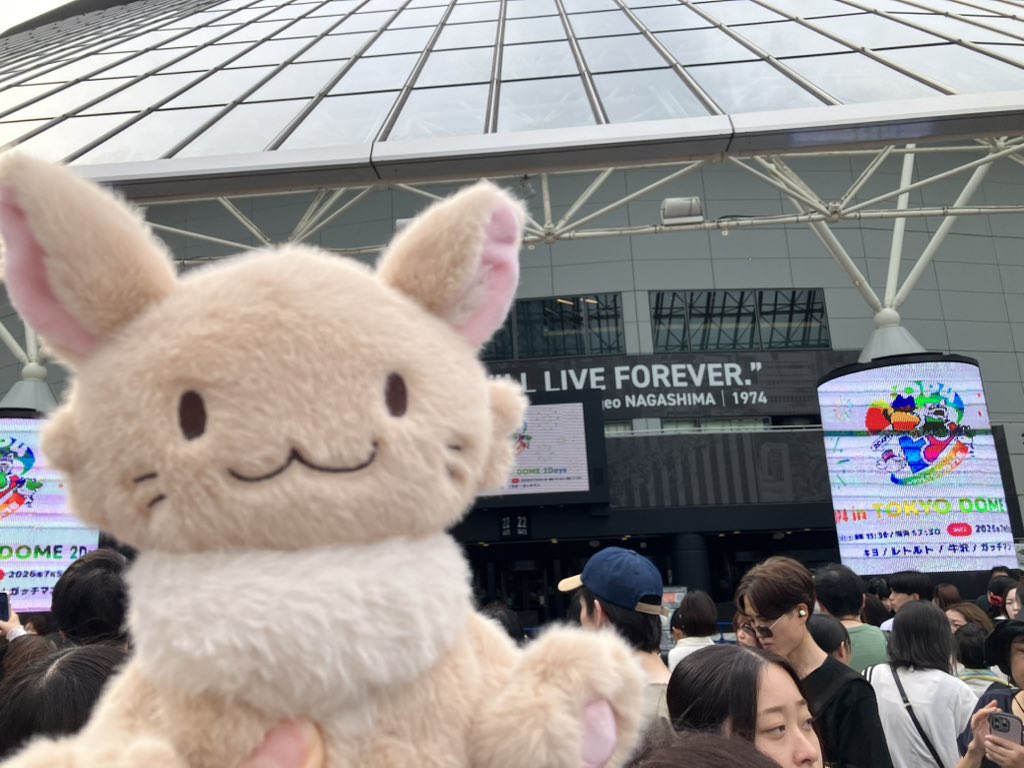 mkwrite126's tweet photo. すんごい人人人人人 https://t.co/B2VogSvDJ2