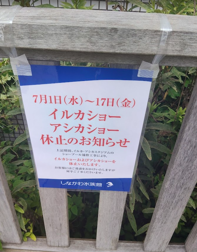 PardoxDog's tweet photo. 鳥さん＆残念なお知らせ＆橋 https://t.co/9PfagIxAkS