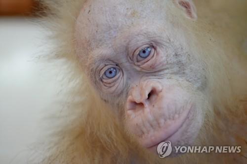 에러에러 tweet media