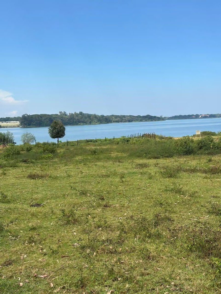 kainosExploits's tweet photo. Lake view plots for sale in Nkumba

Njako Estate, Off Entebbe Road

12 decimals = 50ft X 100ft
Price 90M ugx

+256776533521 https://t.co/lYLADjCRij