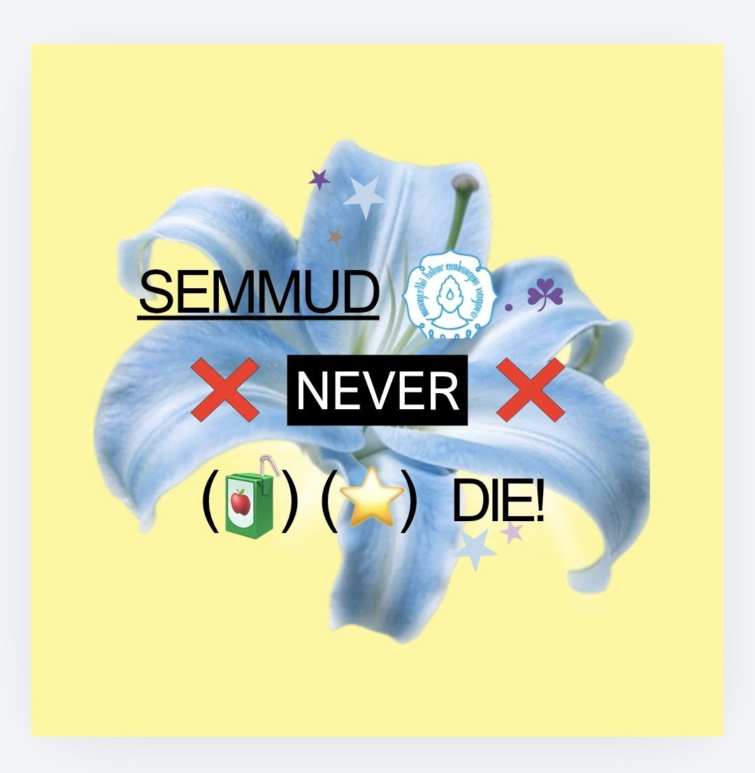 nadiye²⁶ tweet media