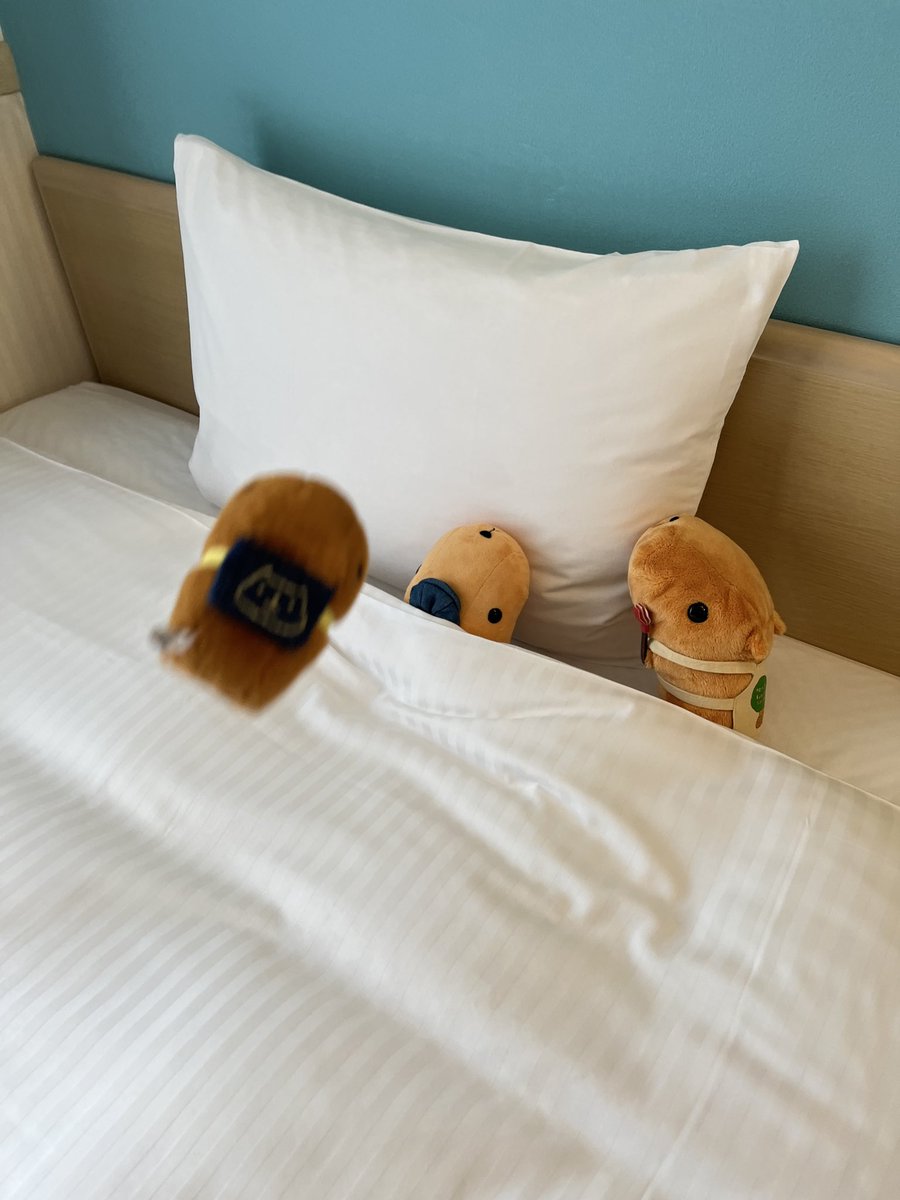 lankpsan's tweet photo. ちょっと早めにホテルチェクイン！昨日の夜遅かったし、始発くらいの時間から動いているのでひと休み…。
実は一緒だったてんちょーもカバンの外に出てまいりましたよ！

…あれ？おでかけちゃんどこn「ベッドたぁぁぁぁ(ダイブ)」 https://t.co/CbUbtcGkee