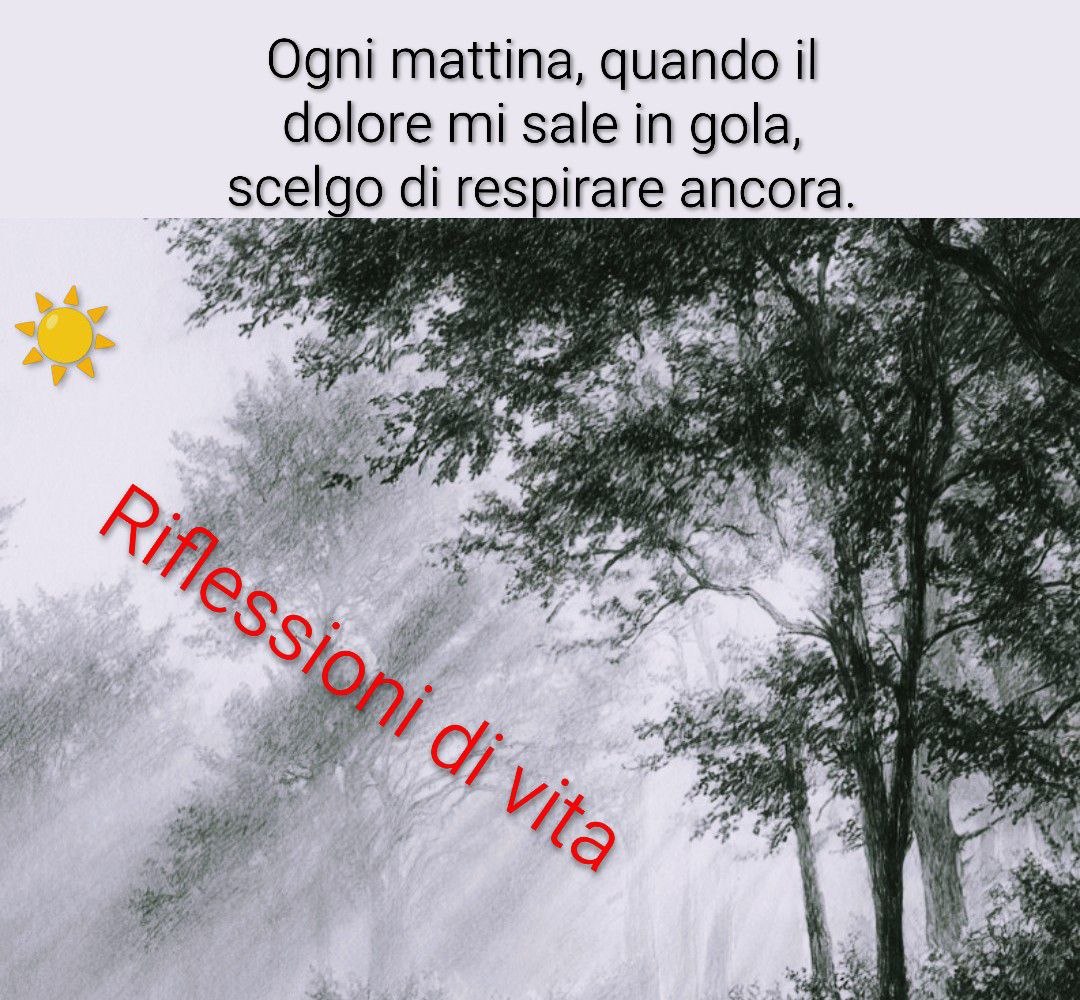 g_borr's tweet photo. #4luglio Ogni mattina, quando il dolore mi sale in gola come una lama ardente e mi strappa il respiro in un singhiozzo, scelgo di respirare ancora. È lì che si accende la mia battaglia. Non ho bisogno di essere invincibile: mi basta essere viva. https://t.co/MrprTKKKWZ