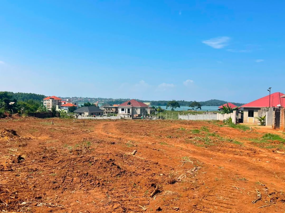 kainosExploits's tweet photo. Nkumba lake view, Entebbe Road
Plots for sale with ready land titles

50ft X 100ft - 75M ugx
100ft X 100ft - 150M ugx

+256776533521 https://t.co/prLmHdW6B8