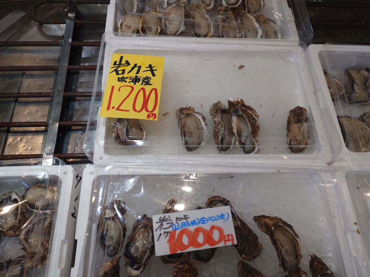 Karamisoramen55's tweet photo. #岩牡蠣なう

去年は700円だったのに…

インフレですか？

今年初なので1200円のやつにしました
美味しゅうございました https://t.co/hp593OF2UE