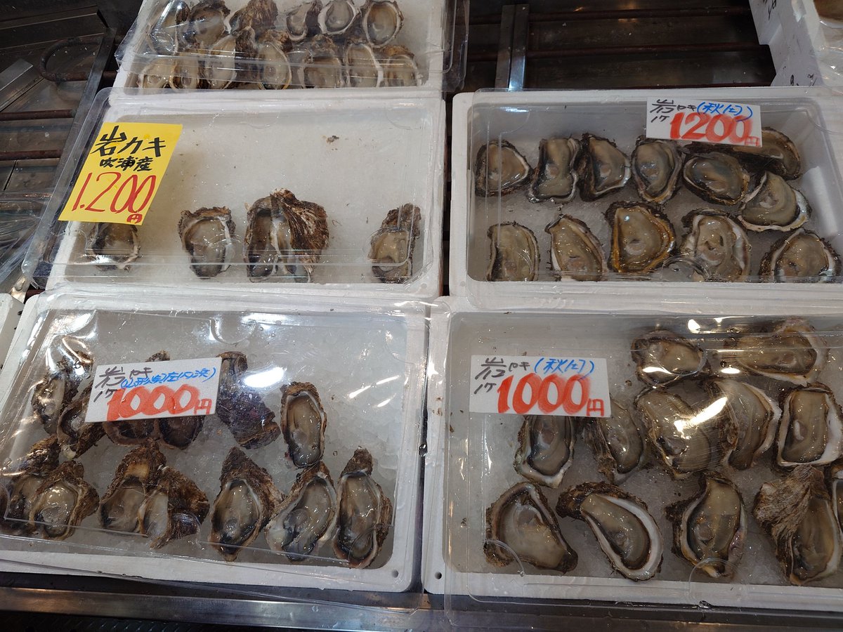 Karamisoramen55's tweet photo. #岩牡蠣なう

去年は700円だったのに…

インフレですか？

今年初なので1200円のやつにしました
美味しゅうございました https://t.co/hp593OF2UE