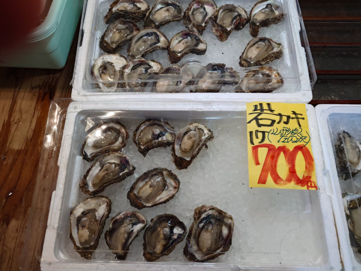 Karamisoramen55's tweet photo. #岩牡蠣なう

去年は700円だったのに…

インフレですか？

今年初なので1200円のやつにしました
美味しゅうございました https://t.co/hp593OF2UE