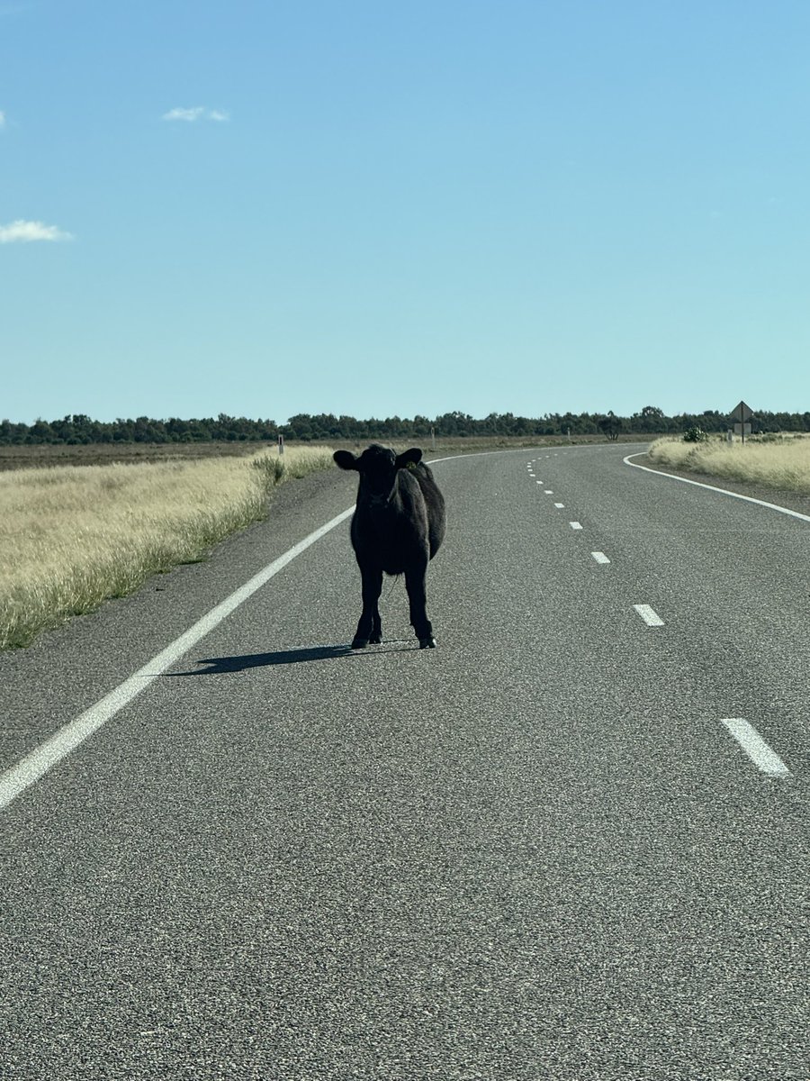 chilvo01's tweet photo. Sturt Hwy heading north to Tibooburra. https://t.co/ykWObWDRRl