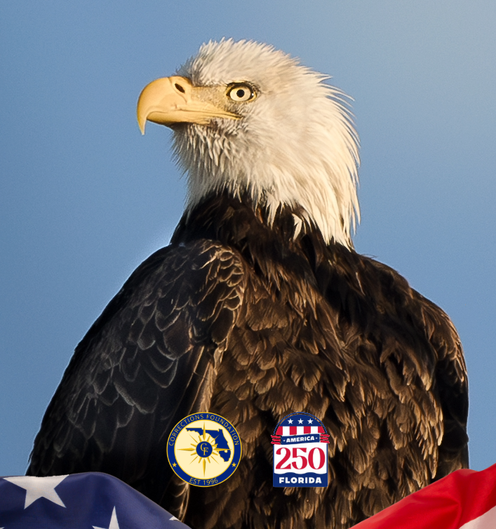 CorrectionsFndn's tweet photo. On the semiquincentennial of the United States, we remind ourselves we are joined together by a shared cause to make a more perfect Union and that which unites us is far stronger than that which divides us and that we must live up to those ideals. Have a happy 4th of July. https://t.co/DfQlvsSZ16