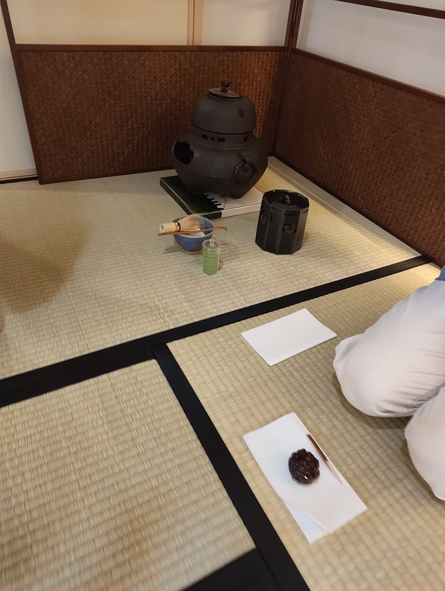 wakaba_toonC's tweet photo. 抹茶action!（撮影許可もらってます） https://t.co/8PmOgPxkPU