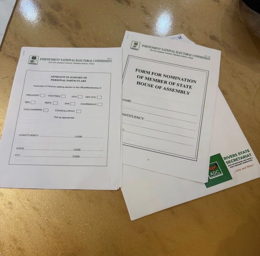 Justiceori's tweet photo. The man with the people’s mandate, Wosu Ugo Young have received and processed INEC form EC9/EC13B for 2027 as he heads to the hallowed blue chambers to talk for me and you for our own good. https://t.co/rxoWa7Fkdq