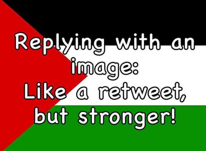 WatermelonTurte's tweet photo. @nebal44587 https://t.co/Dec5LQMCQe