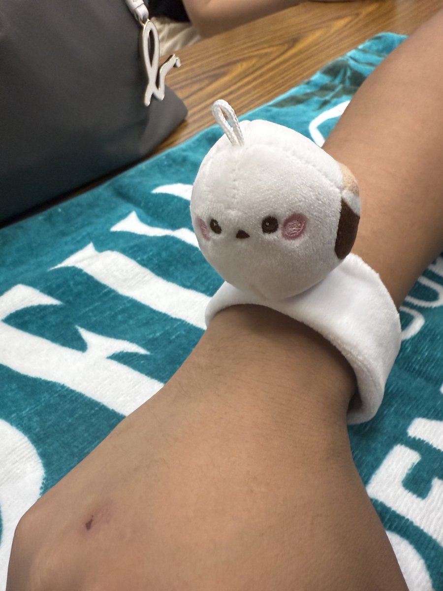 remikote's tweet photo. 今日の相棒
#レミオロメン https://t.co/gsCj5MRw2u
