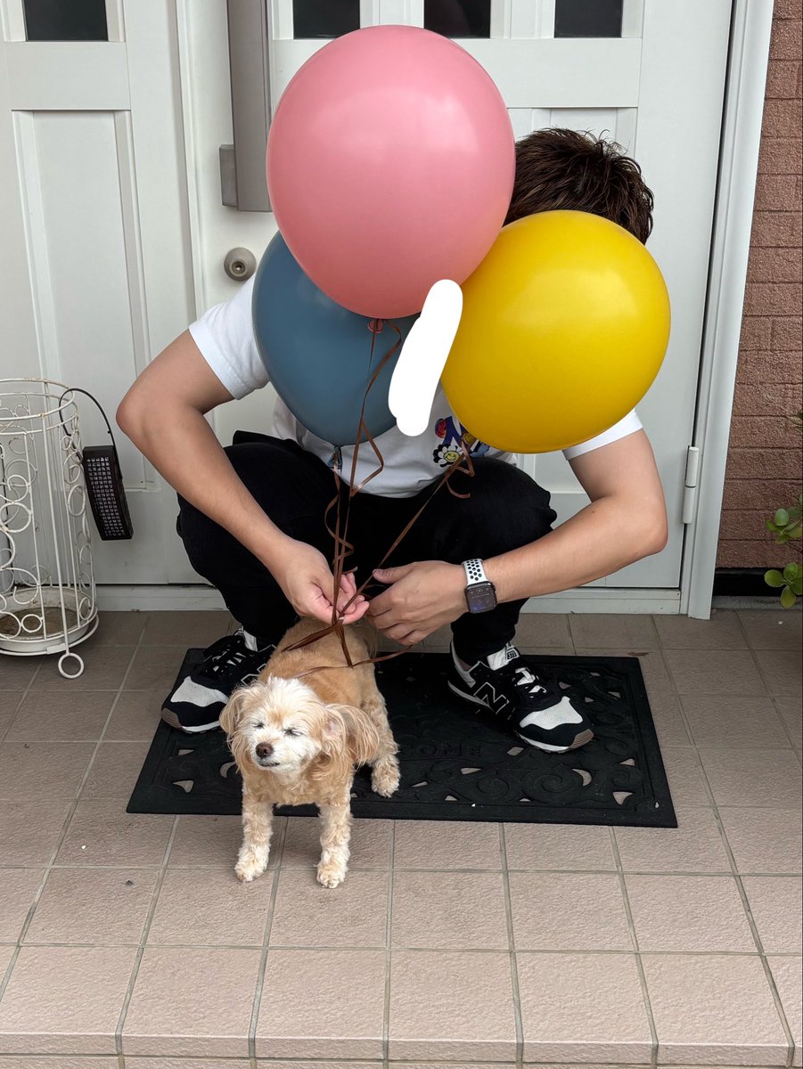 KE_noCo's tweet photo. 🐶🎈 https://t.co/a687rp1RyB