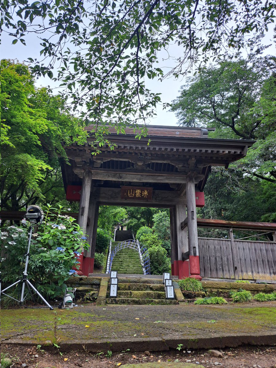 hacchutokinchan's tweet photo. 茨城あるあるネタの赤プルさん😃
今日は城里町の龍谷院あじさい行燈祭りでネタ披露‼️
観客のお父さん大盛り上がり👏
#龍谷院あじさい行燈祭り
#赤プル https://t.co/7e7ywVeGoV