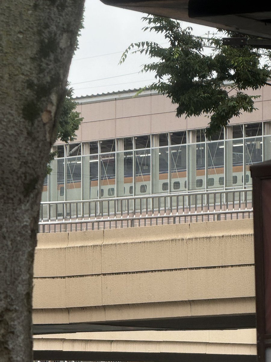 AshleyMilos's tweet photo. あれ？

#仙台駅 https://t.co/DkMFHO1oSP