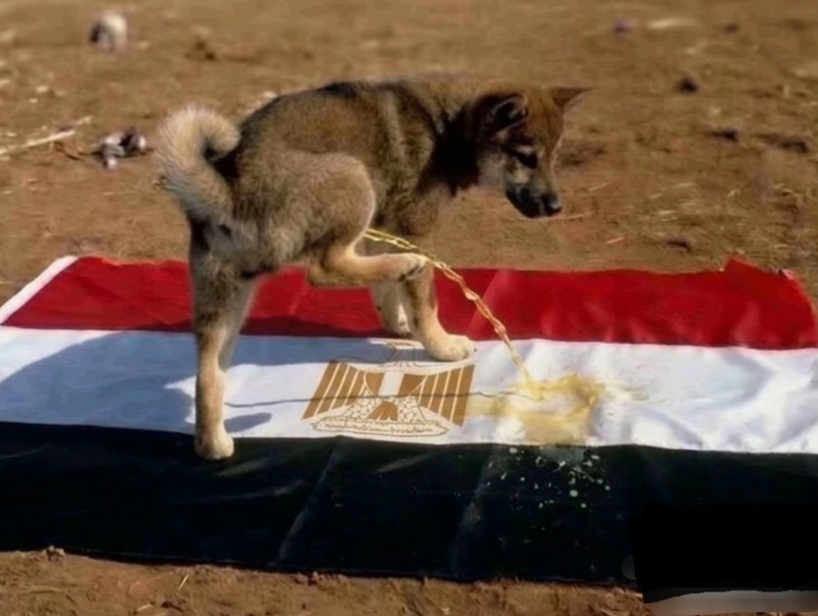 Kacaca80's tweet photo. @OEOiKpLJxJQtjTo @alkhayat_sloom فضل مسسر كسمكالدنيا https://t.co/QiXDEjYQp3