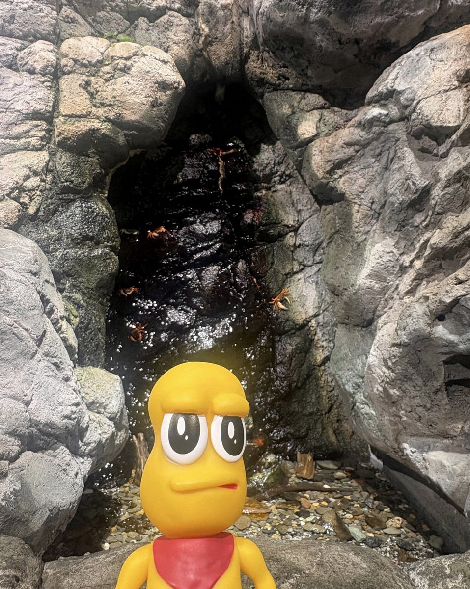 kas_alim's tweet photo. ウマ娘フラスタの件や、シングレ好きな件、お兄ちゃんとオルフェのサポカ引いたり。
ペイジャー騎乗も含めて、そこまで関係悪くないと思うんだけどという独り言。 https://t.co/vBYKIaIxKq