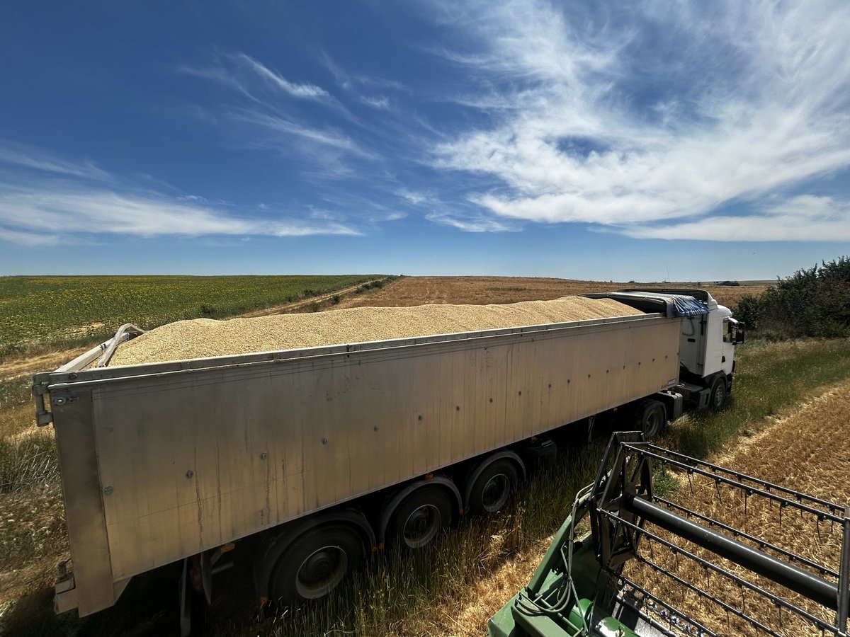 ismamanqui's tweet photo. @agropopular Buenos días desde Manquillos(Palencia) estamos en plena cosecha de cereales con unos rendimientos muy aceptables para el año, y también recogiendo el segundo corte de alfalfa!! Feliz verano para todos!! #Agropopular https://t.co/pX1CRtn24x