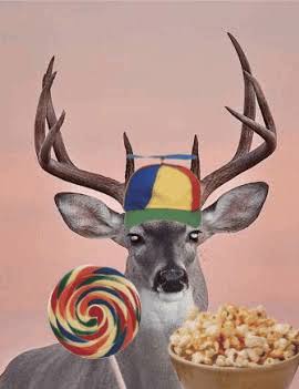 FoidDeer's tweet photo. Omg i have a playdate today https://t.co/RMsezjFrgI