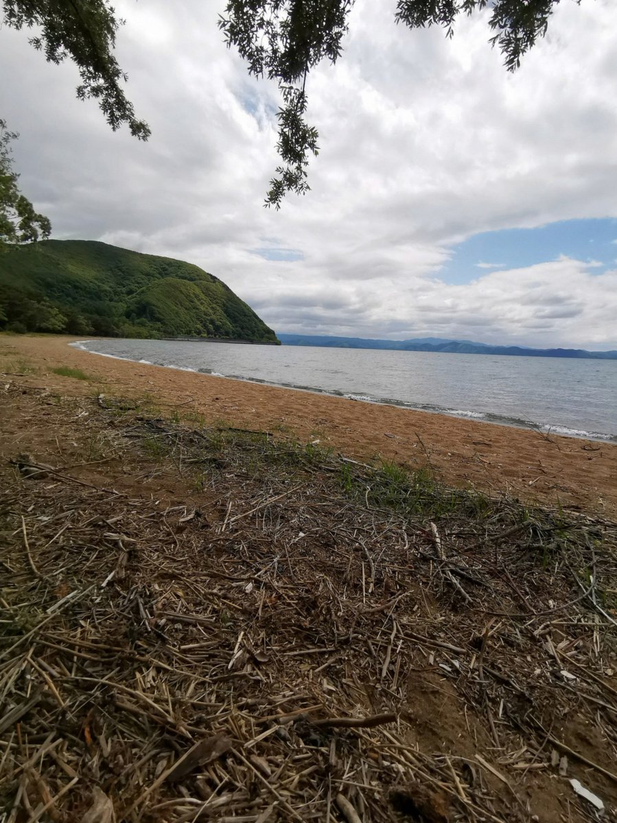 Panamael's tweet photo. 極星斧覚醒5にして誘惑AF厳選したら安定しそう https://t.co/wzJeefToRT