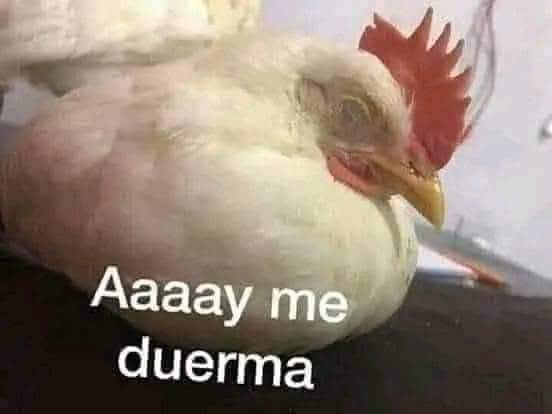 bernard40180860's tweet photo. @iingridrod Para ti el mundo son los hijueputas twits que salen en tu feed cuando mexico tiene 130 millones de habitantes apoco yo siendo mexicano voy a pensar que toda argentina es mielda con todo mundo no carajo asi no son las cosas en la vida real a como es en este chiquero https://t.co/SeOG5mlp39