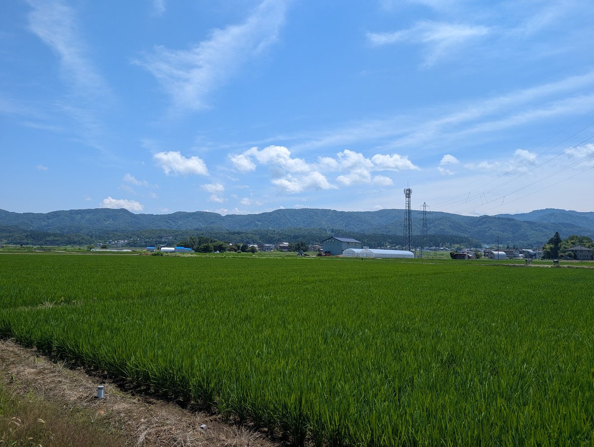 STEP5900's tweet photo. あの山の麓までランニング🏃
気持ち良い天気☀楽しんできます
帰宅後の楽しみは…🍺🍺🍺

#ランニング https://t.co/m5hbG2jcwk