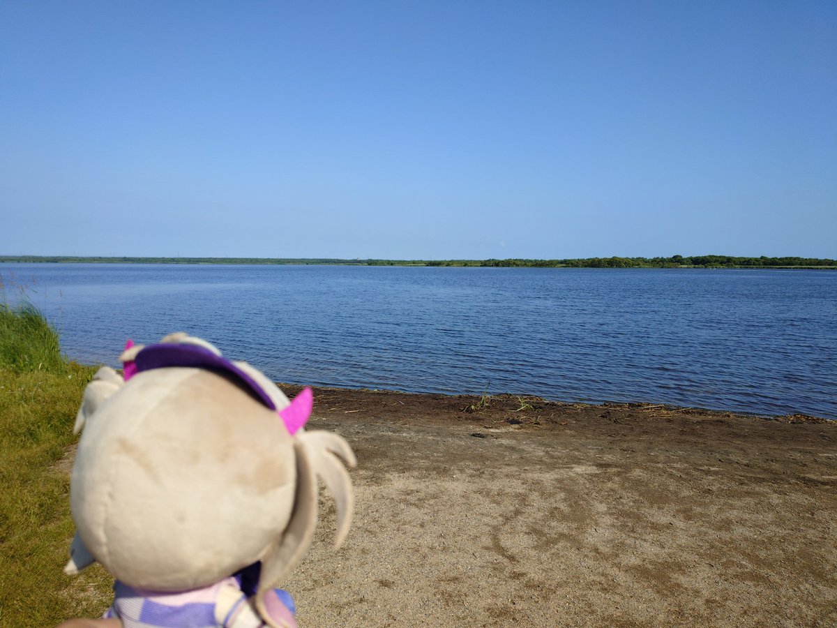kamilsbug's tweet photo. 北海道だよ、つくぬい
水が綺麗だね、つくぬい https://t.co/QgJ6q7yjsI