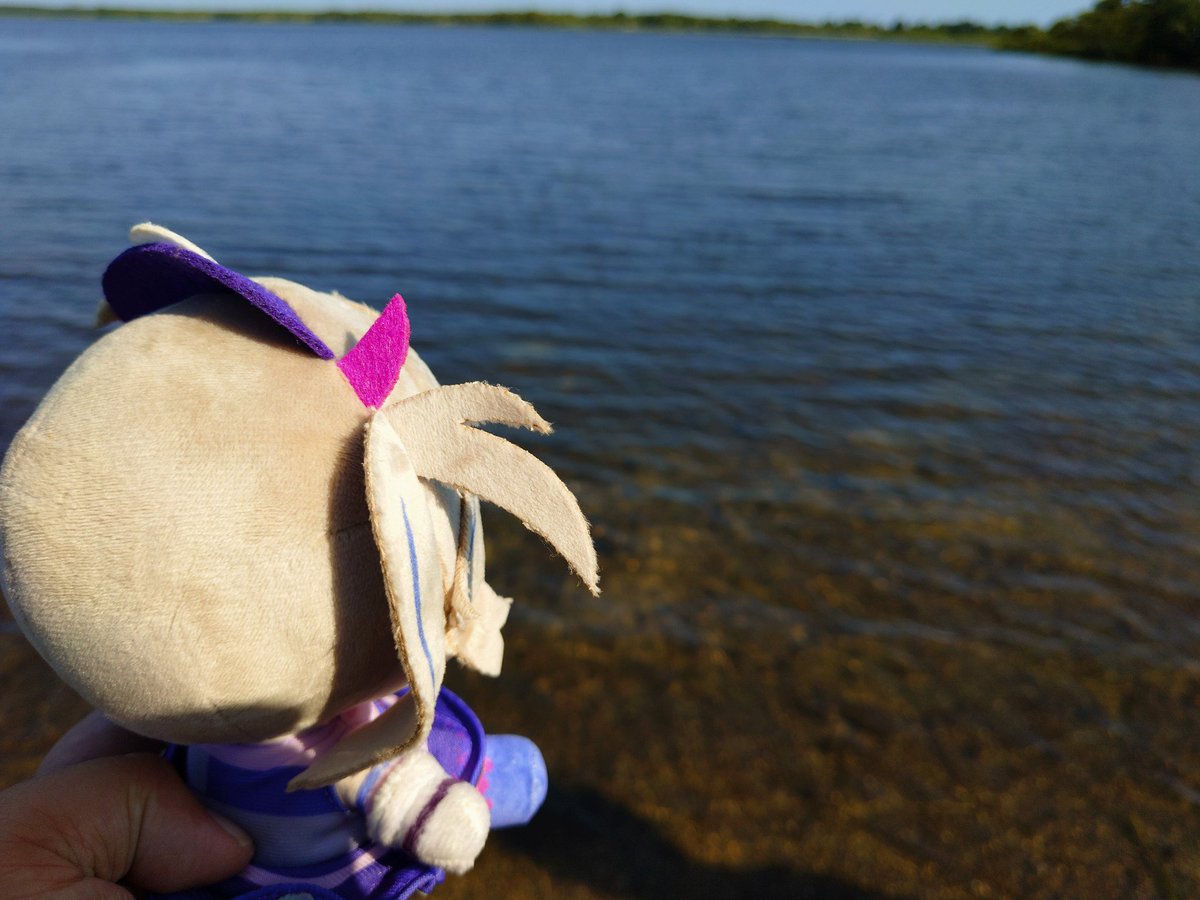 kamilsbug's tweet photo. 北海道だよ、つくぬい
水が綺麗だね、つくぬい https://t.co/QgJ6q7yjsI