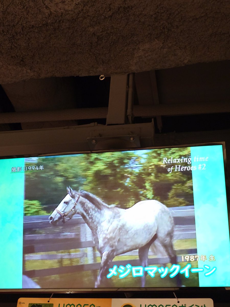 メジロマックイーン　史上最強馬の蹄跡　VHS 東京競馬場のモニターで流れてる名馬ヒストリー🏇メジロマックイーンさん😊