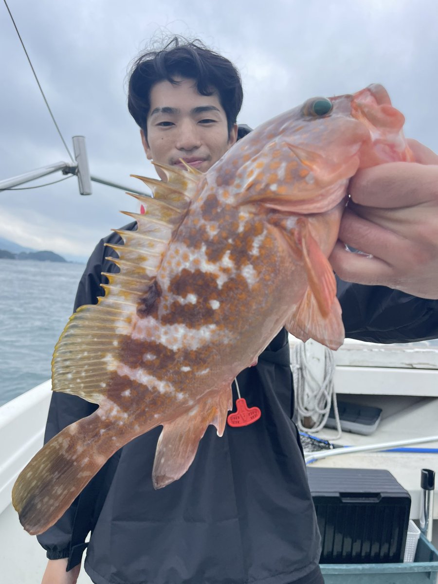 kamedamaru1098's tweet photo. 安定のアコウテンヤ‼️
ボコボコ入れ食いでした👍
👇
https://t.co/RHnM44xk8L https://t.co/ut8zXjLoCq