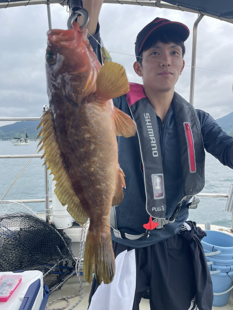 kamedamaru1098's tweet photo. 安定のアコウテンヤ‼️
ボコボコ入れ食いでした👍
👇
https://t.co/RHnM44xk8L https://t.co/ut8zXjLoCq