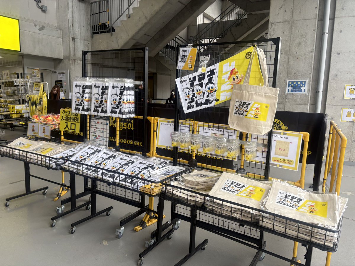 REYSOL_Official's tweet photo. 🟡グッズ情報⚫️

本日はスタジアム内グッズ売店もオープン！

✔︎千葉ロッテマリーンズとのマスコットコラボグッズ
✔︎ JFA×J.LEAGUE　2026SAMURAI BLUE（日本代表）選出メンバーグッズ【予約販売】
も販売も行っております☀️

ぜひお立ち寄りください🏃‍➡️💨

#柏レイソル https://t.co/C17s2Fm8YX