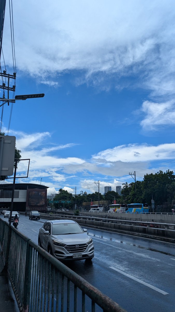 sushat4692's tweet photo. 雨上がり散歩 https://t.co/hDFG4pyadI