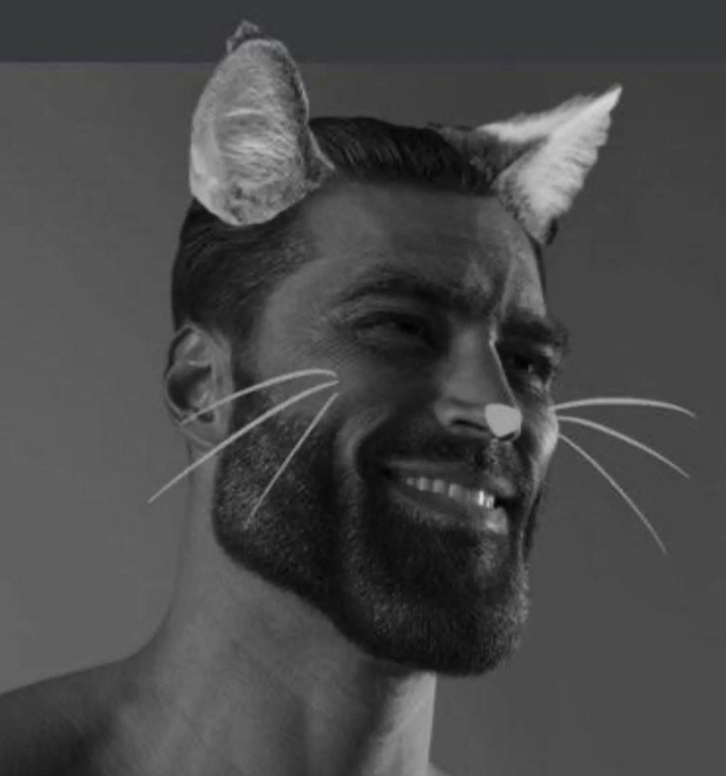 Giga_Invictus's tweet photo. I told the british not to give up their guns

now im telling you not to give up on cat coins

dont be british https://t.co/i96KIytCLD