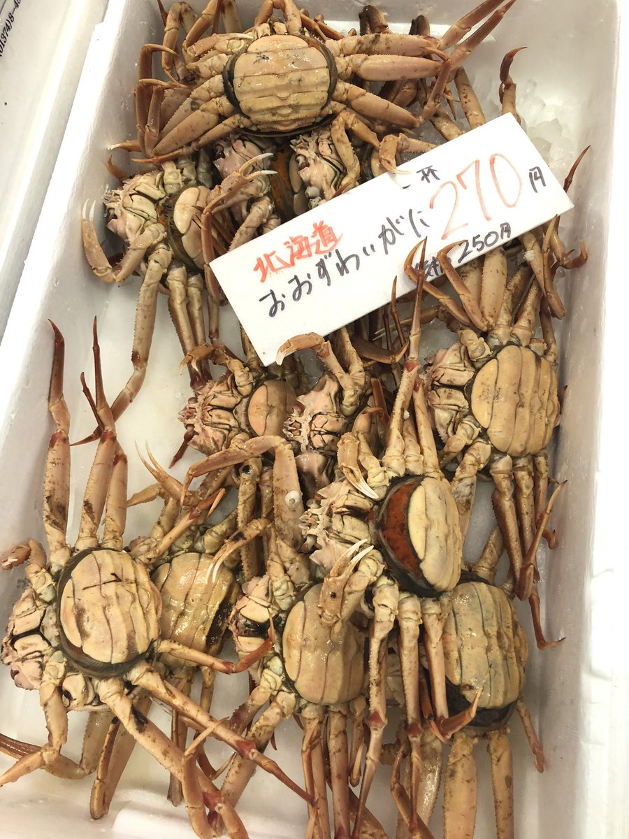 🦀カニ🦀カニ🦀🌟🌟