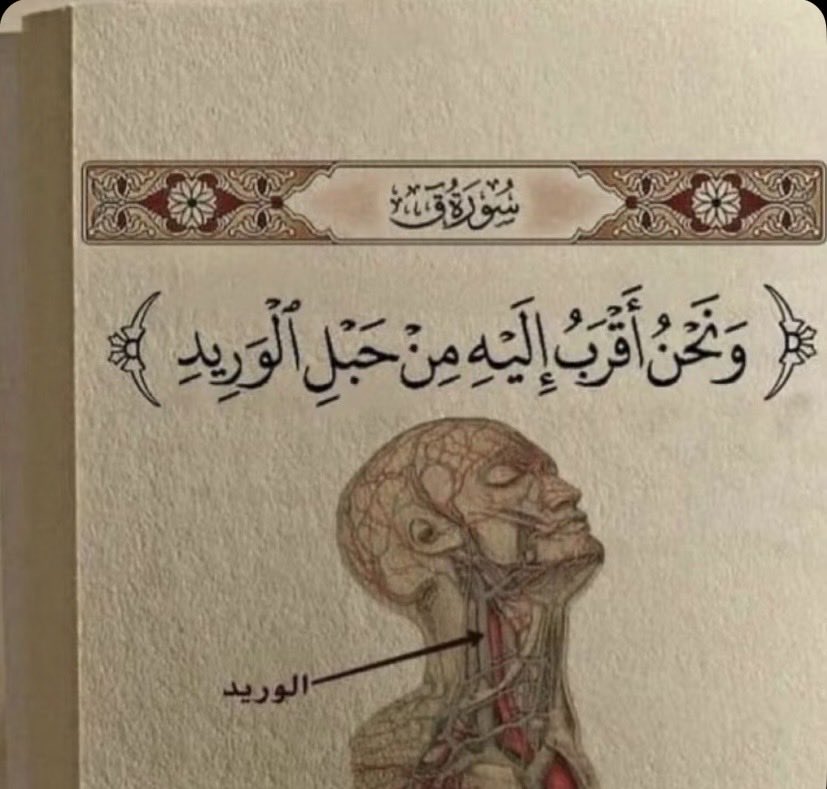 umhamdan699's tweet photo. https://t.co/1qJZ7iougN